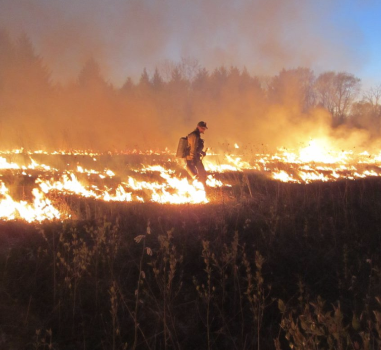 AldoLeopoldFdn's tweet image. From prescribed burns and fishing to sandhill cranes and morning glories, the 2022 Leopold Fellows have done it all! Join us this Friday at Noon CT for a reflection on Living a Land Ethic. #LeopoldWeek tinyurl.com/LW2022LUNCH