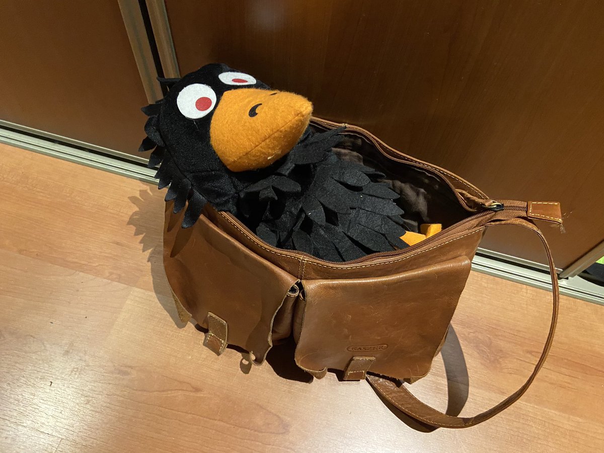 GwenStuck's tweet photo. Nog 1 nachtje slapen voor Kra. Hij is er klaar voor om morgen mee te gaan naar een meisje van vier. #speltherapie https://t.co/TPECpnyijr