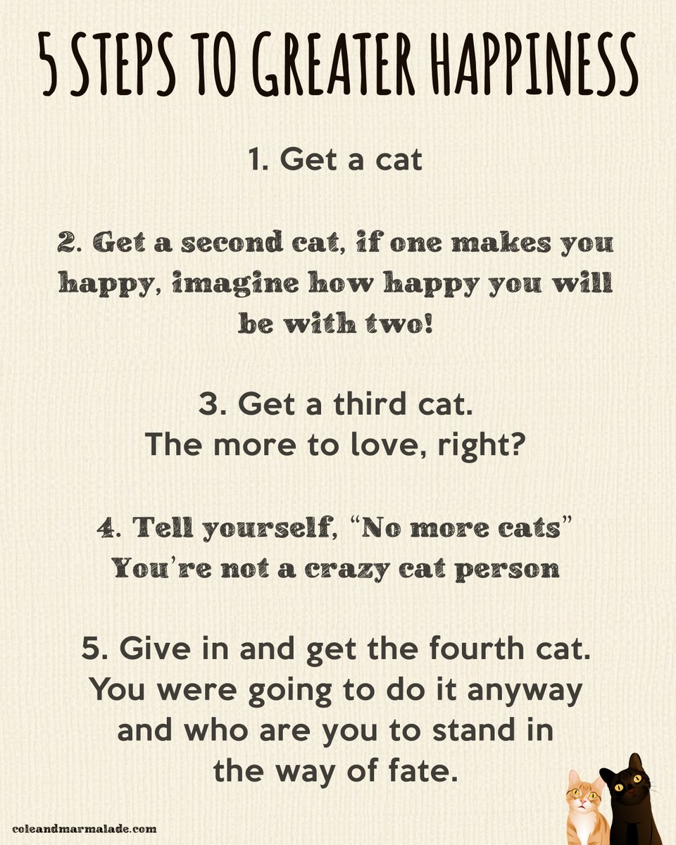 ColeTheBlackCat's tweet photo. Simple! 😏 https://t.co/AofQtWN9dy