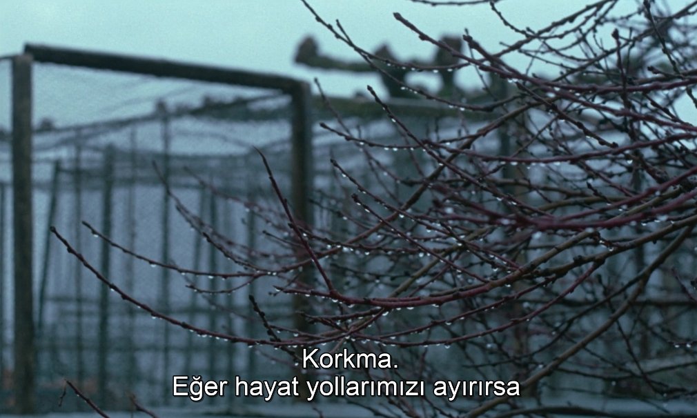 saintlacrime's tweet photo. le clair de terre (guy gilles, 1970) https://t.co/mqe7jEKDZy
