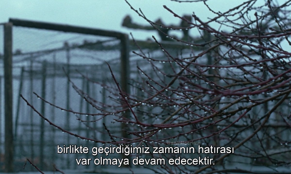 saintlacrime's tweet photo. le clair de terre (guy gilles, 1970) https://t.co/mqe7jEKDZy