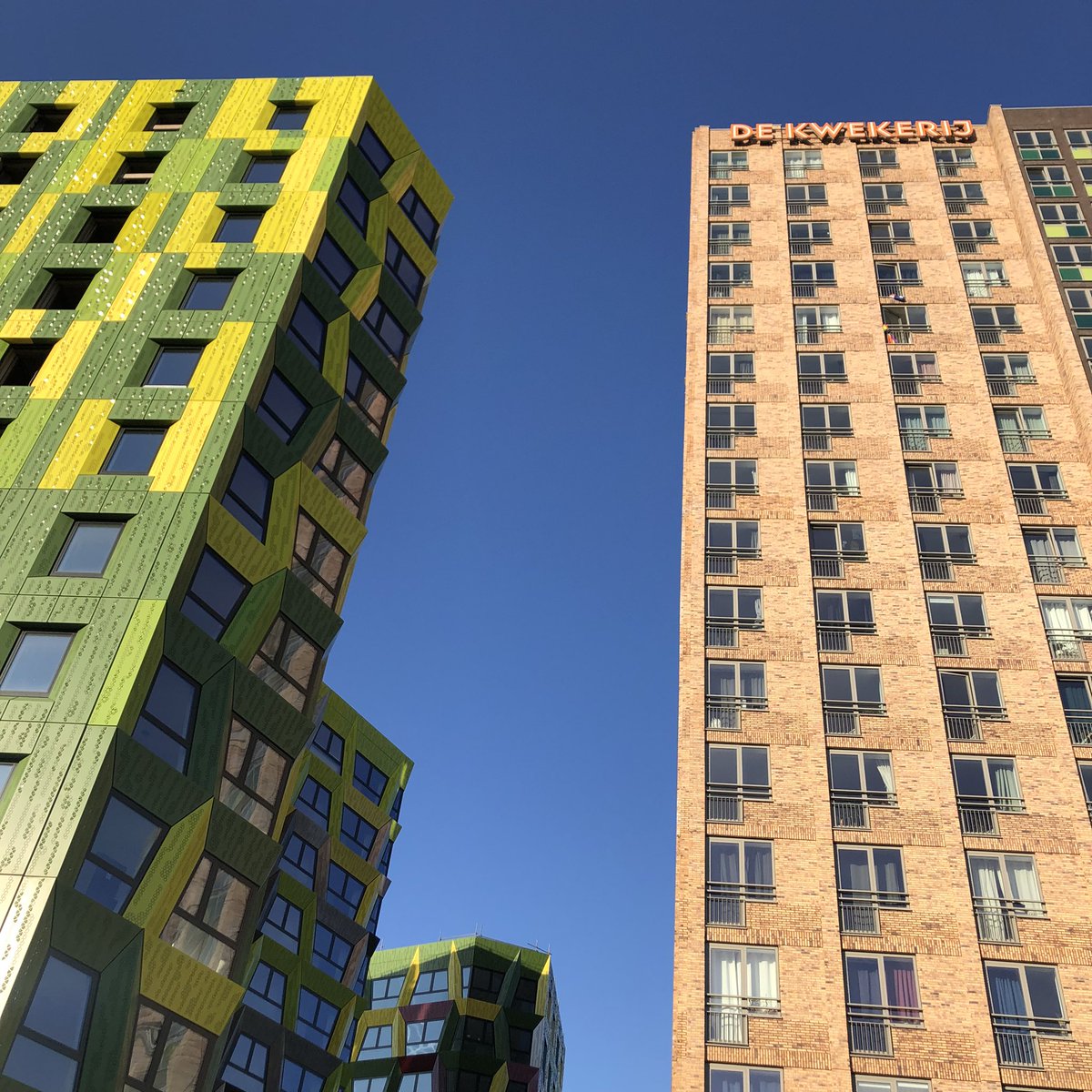 Lentekriebels met vrolijke kleuren