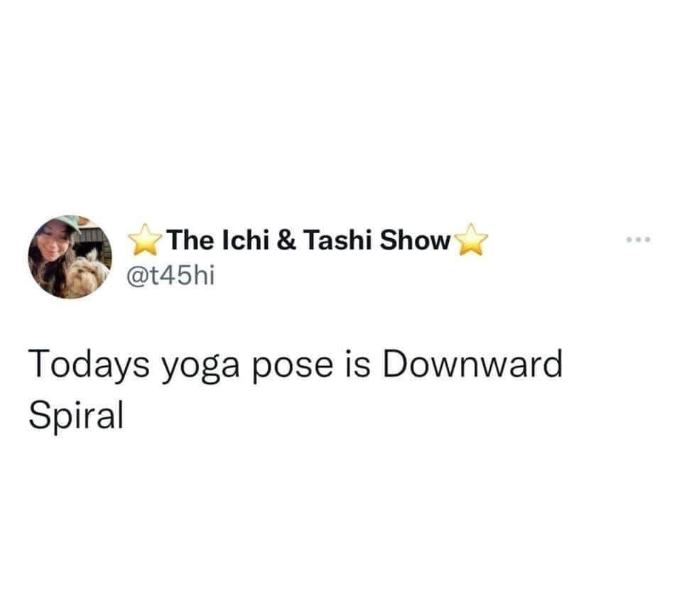 em_ramblez's tweet photo. welcome to my life 🧘🏻‍♀️ https://t.co/DCbjcoStdD