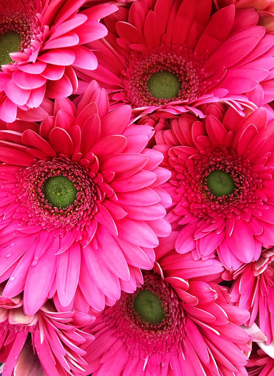 Katy 💜💜 tweet media