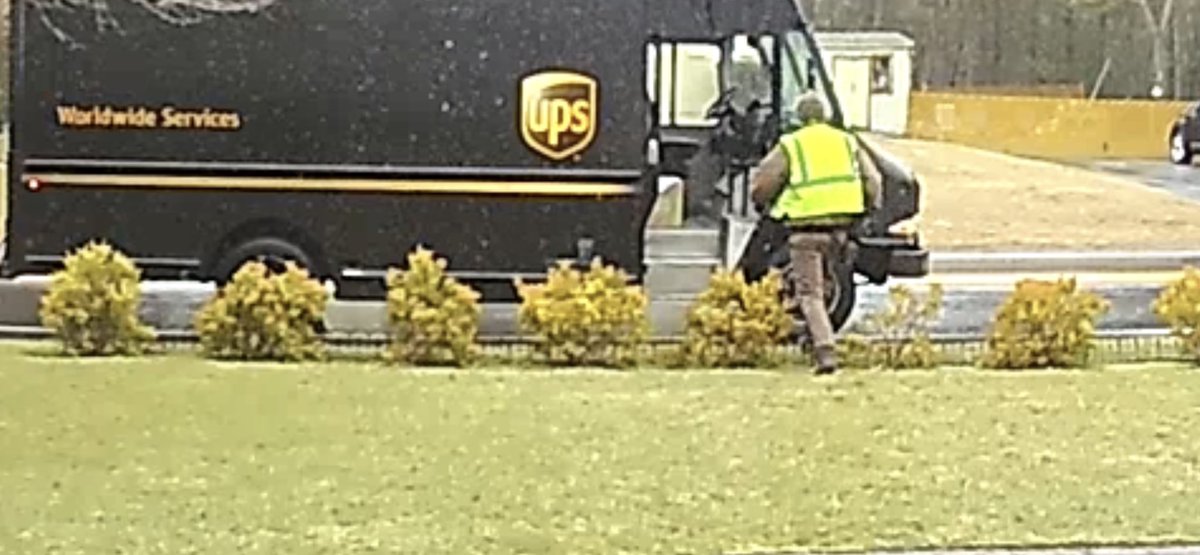 pvdhatcher's tweet image. Put up a hedge to protect the grass from being walked on a wearing in a path, now I have to put of a fence to protect the hedge. @UPS #upsfail #costingmemoneywitheverydelivery #stopkillingmyplants. #usethewalkway
