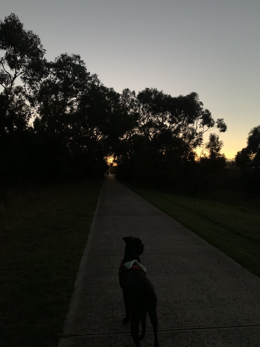 Watching the sky gradually lighten while getting in a morning walk #Breathtaking #UrbanRemnants #HappyPuppy
