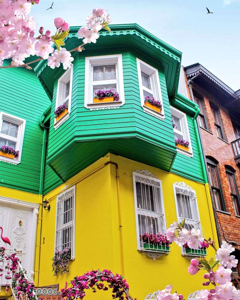 BeranaVelez's tweet photo. Visit Istanbul
#İstanbul #goistanbul
#Turkey https://t.co/LjNX6dIKei