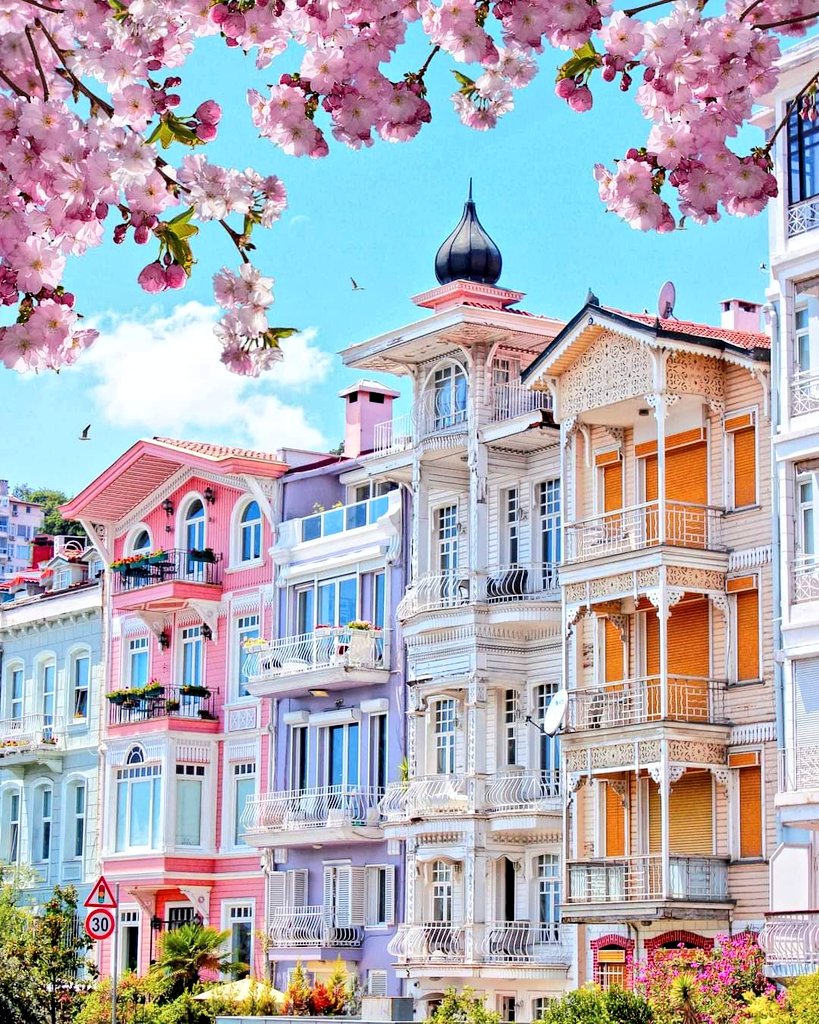 BeranaVelez's tweet photo. Visit Istanbul
#İstanbul #goistanbul
#Turkey https://t.co/LjNX6dIKei
