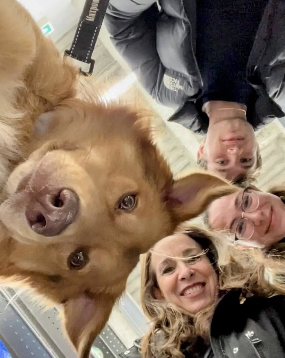 LifeAtPetSmart's tweet photo. "I have no selfie control." - Apollo learning alongside PetSmart Trainer, Dimitri π
#LifeAtPetSmart #PetSmartTraining https://t.co/bsNABuZUB6