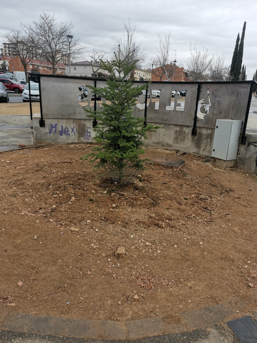 <a href="/FornasCedrus/">L'arbre del Fornàs</a>... Estàs miniesplendit eee...