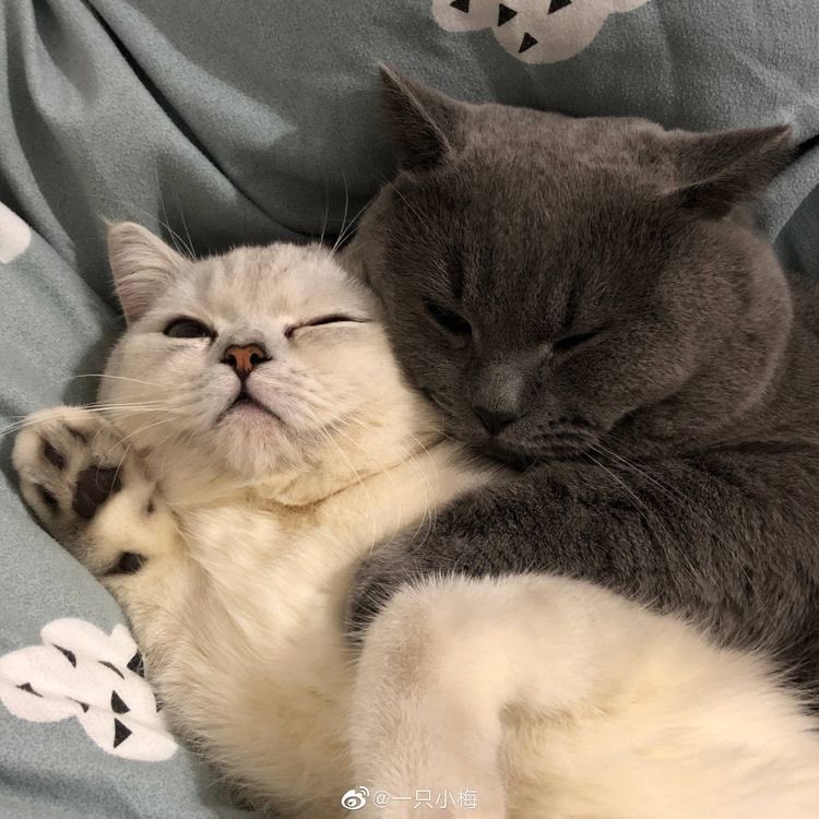 darIingful's tweet photo. hugs https://t.co/dhtIpWoaSE