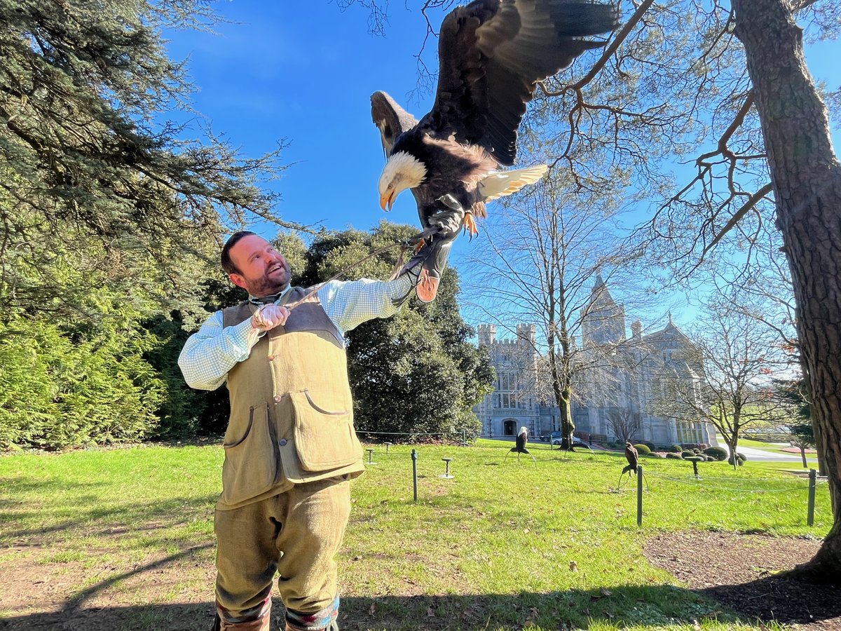 A short glimpse at the fun, informative and beautiful Falconry Experience we had with <a href="/AdareCountryPur/">AdareCountryPursuits</a> on the stunning grounds of Adare Manor, in the West of Ireland.

WATCH: youtube.com/watch?v=yQrhl8…

#Limerick #discoverireland #falconry #birdsofprey #daysout #familytravel #adare