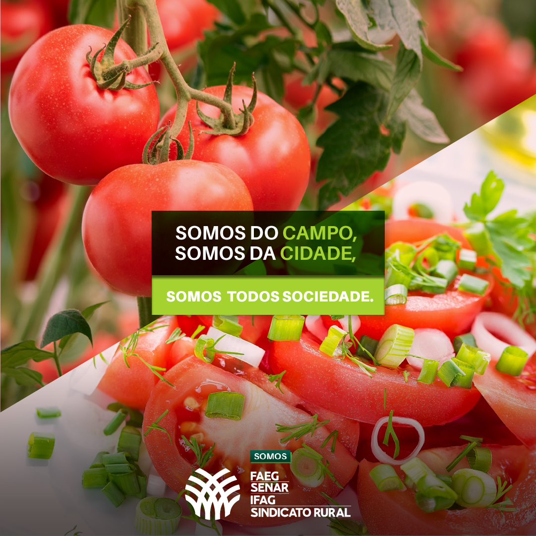 SistemaFaeg's tweet photo. 🤝👨🌾 Temos orgulho de fazer parte da missão de colocar alimento na mesa de milhões de famílias, defendendo e cuidando de quem trabalha, planta, cria e faz o agronegócio girar.
#SistemaFaeg #SenarGoias #campo #cidade https://t.co/tA2pxBhM6k