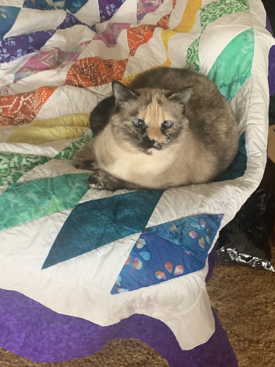 MarshMuhSmarsh's tweet photo. Mam’s friend sent her a quilt she made. I love it! https://t.co/w6bHVmWcfz