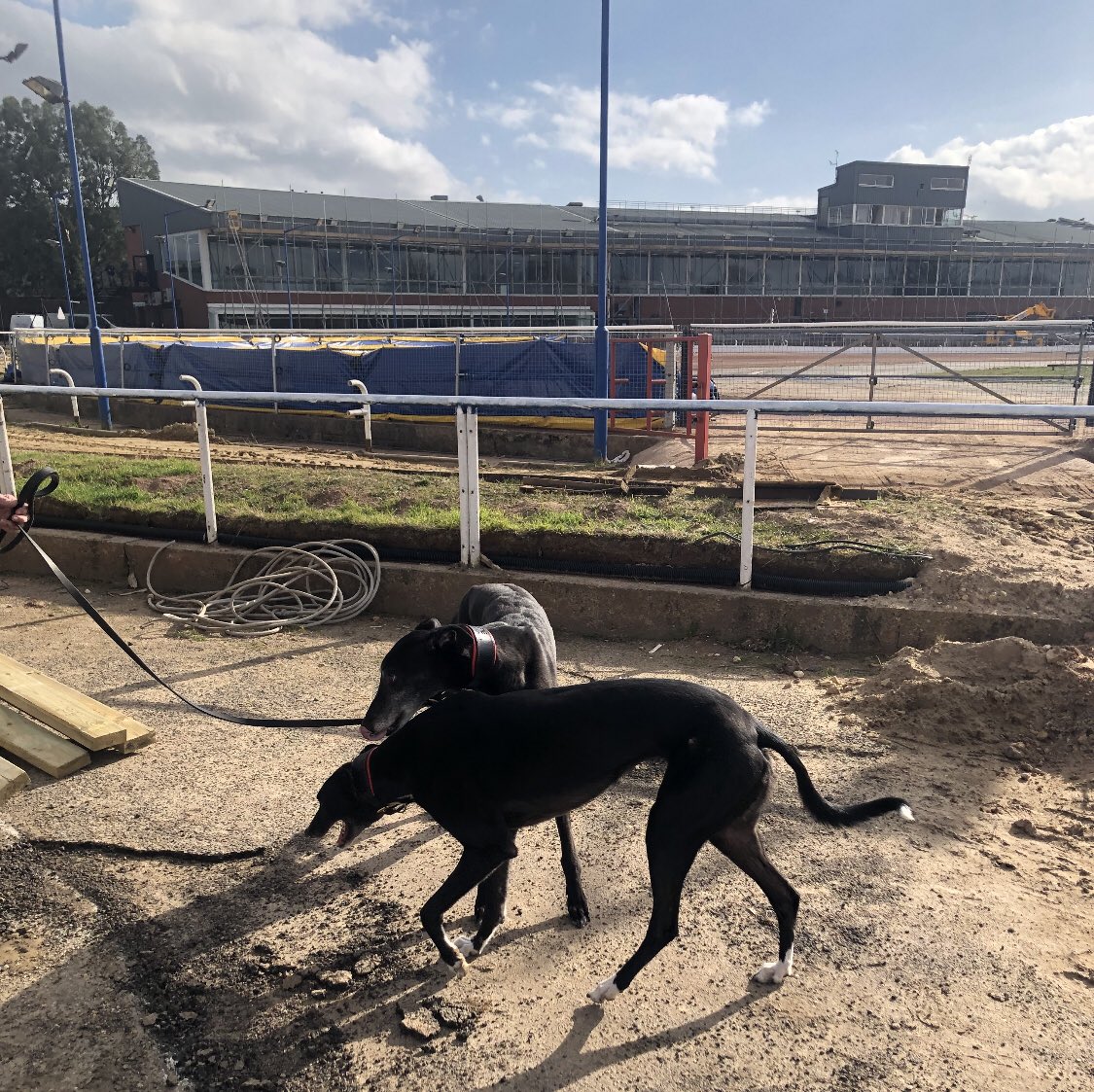 MarkBurridge1's tweet photo. Had a quick visit to @Oxford_Stadium today - fantastic work going on all around, it’s going to be a very special place and a huge boost to greyhound racing.

Still lots to do but will be amazing when complete 🙌

Was great to meet so many passionate people involved 😄
❤️🐾 https://t.co/Ji90p2Cy7N