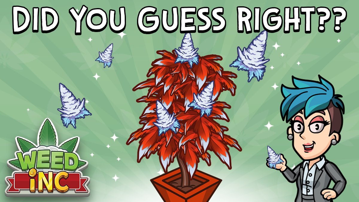 Weed_Inc_Game's tweet photo. π©βπHey there Entrepreneurs! Were you able to guess the mystery strain? If you answered Mars OG, then you got it right!! All eligible winners will be awarded by the end of the day. Thanks to all of you for participating in another #WIcontest!ππ±πͺ #WeedInc
https://t.co/Ze0e7y7lGq https://t.co/5EMkWLpmbQ