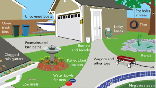 SYMVCD's tweet photo. Spring is here and so are the mosquitoes! Mosquitoes can breed anywhere there is standing water. Donโt forget to check all containers and prevent #mosquitoes in your own backyard. Learn more- https://t.co/KC2FdKvQl7 #FIGHTtheBITE #getreadyforspring https://t.co/Nz0VL8jUyj