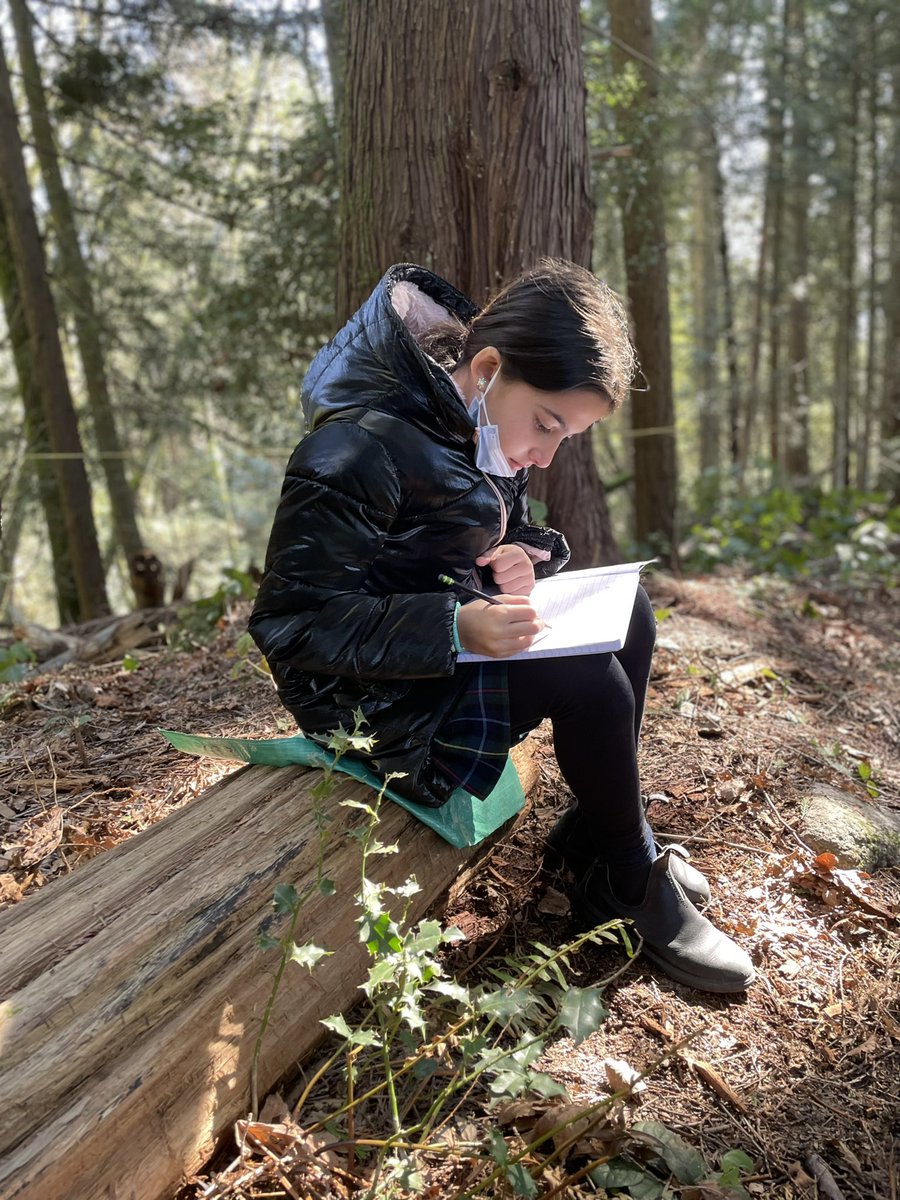 Dean Skea tweet media