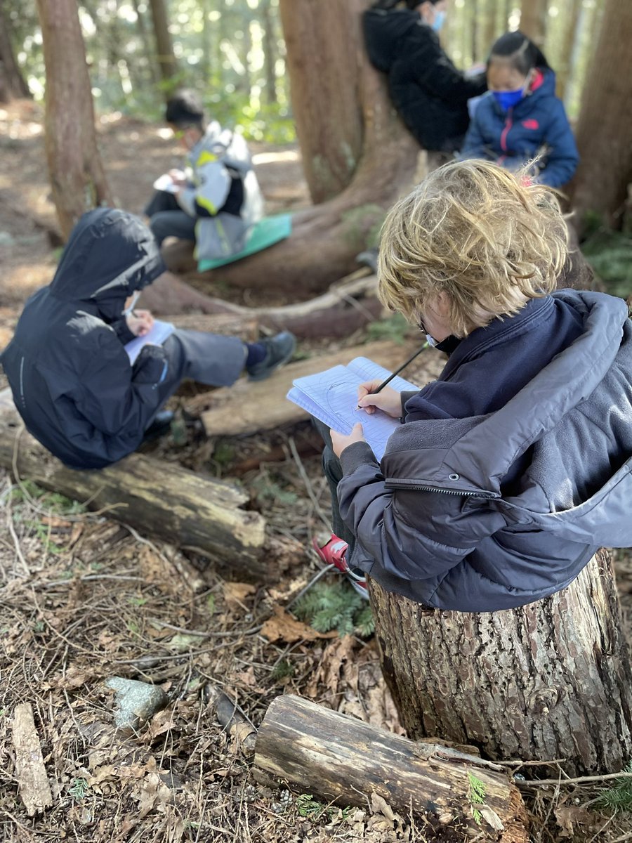 Dean Skea tweet media