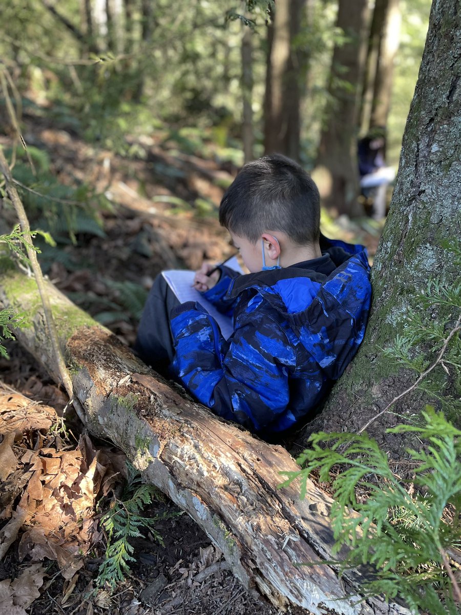 Dean Skea tweet media