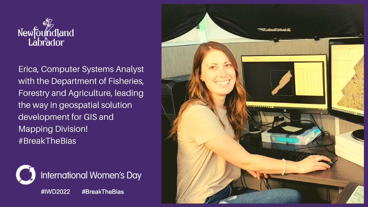 WGE_GovNL's tweet photo. Erica Summers is a Computer Systems Analyst 1A within @FFA_GovNL GIS and Mapping Division’s Aerial Photography data acquisition program 🗺️ Erica plays an integral role in the division and is responsible for the orthorectification of raw digital imagery! #IWD2022 #BreakTheBias https://t.co/vrmlzRQNt9