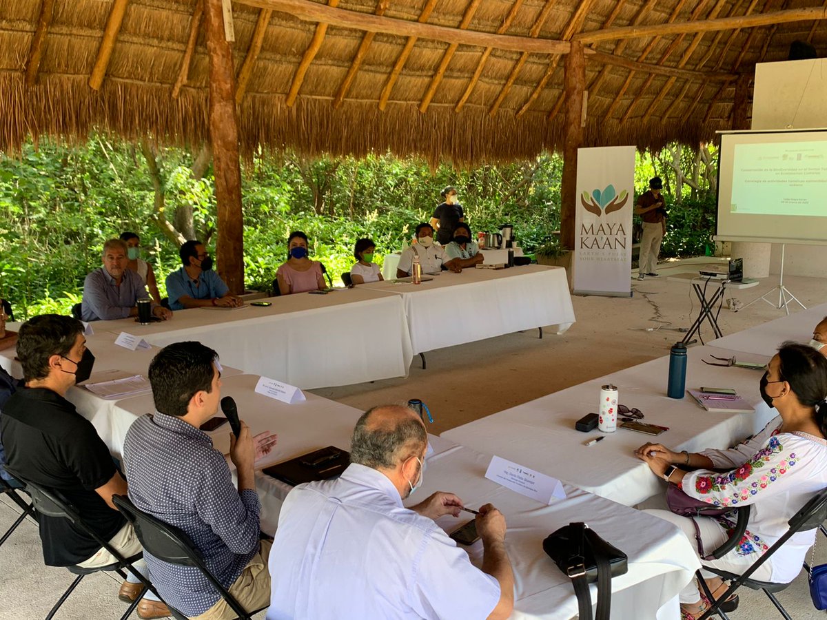 SedeturQROO's tweet photo. Participamos en el Taller en el marco del #ProyectoKuxatur: Hacia un nuevo modelo de turismo vinculado con los océanos, para identificar acciones locales que permitan migrar hacia un nuevo modelo de turismo marino en el país, privilegiando ecosistemas, biodiversidad y valoración. https://t.co/Eg8oS2xCR3