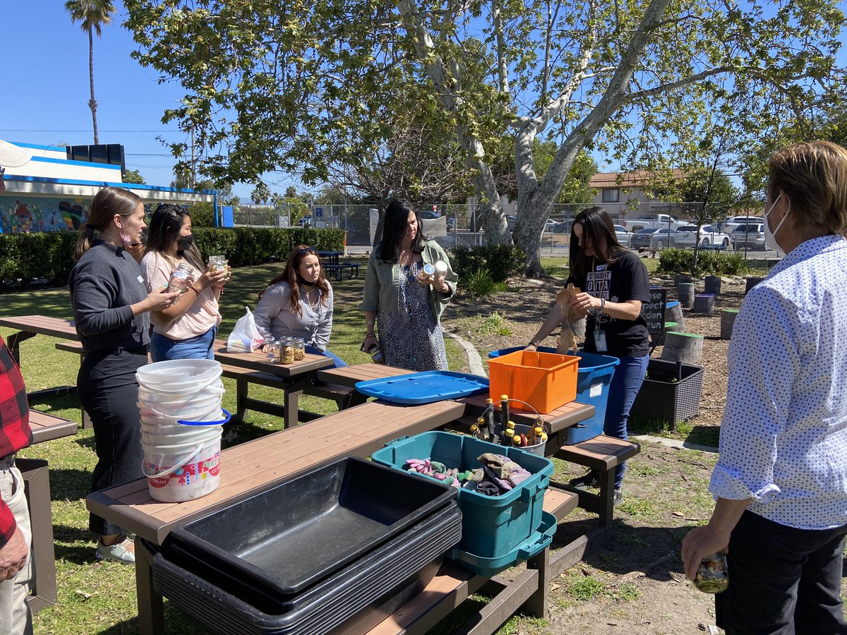 VUSDSTEM's tweet photo. .@VUSDHR educators get their composting on! #BlackGold #BrownsandGreens 

Facilitation by @Casita4Earth https://t.co/EGmVrk4XCh