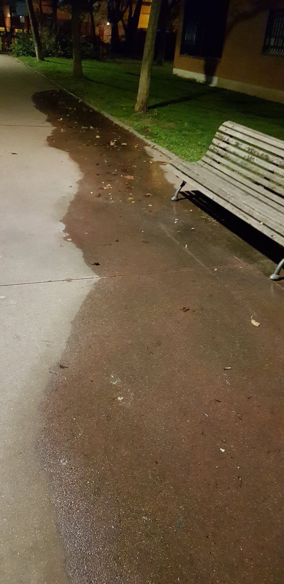 Julio_Alfonso's tweet photo. @Lineamadrid, quisiera dar aviso de dos fugas de agua de riego en los jardines de la avenida de Logroño, 341 y 343, en el distrito de Barajas. Uno está más visible, el otro, algo más escondido. Gracias. https://t.co/s77fPtmyvk