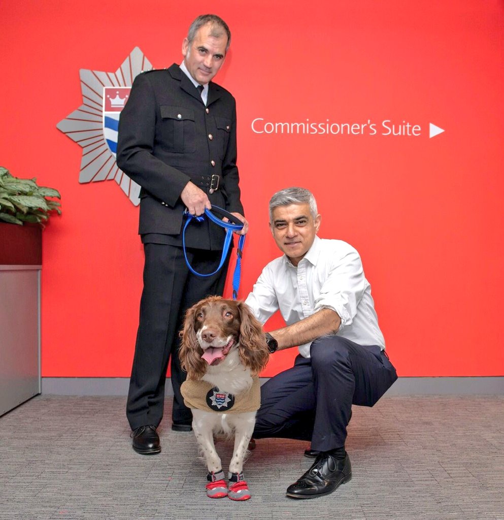 SadiqKhan's tweet photo. Fire Investigation dog &amp; all-round superstar Simba is trained to sniff out flammable substances &amp; help determine if fires have been started deliberately.

He's made the shortlist for @TheKennelClubUK's Hero Dog award &amp; needs our votes!

#VoteSimba here: 🐾 https://t.co/jO7RXPiZs9 https://t.co/TIWcAUBI0O
