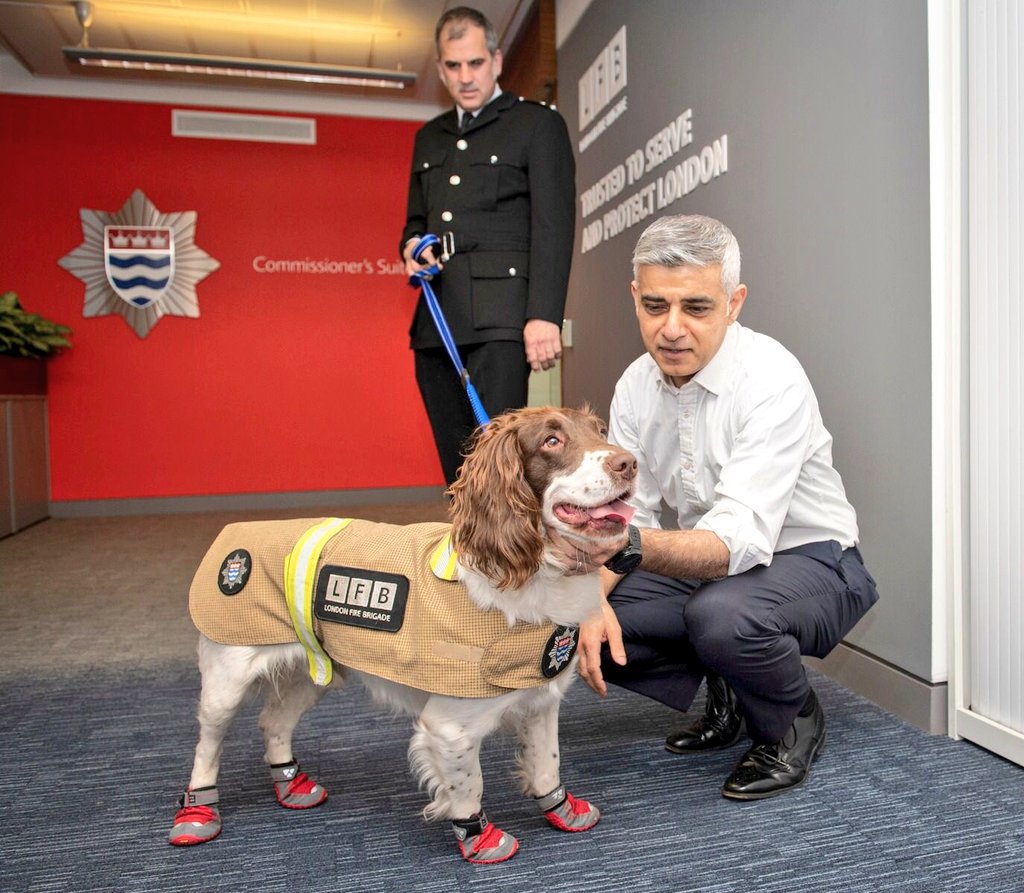 SadiqKhan's tweet photo. Fire Investigation dog &amp; all-round superstar Simba is trained to sniff out flammable substances &amp; help determine if fires have been started deliberately.

He's made the shortlist for @TheKennelClubUK's Hero Dog award &amp; needs our votes!

#VoteSimba here: 🐾 https://t.co/jO7RXPiZs9 https://t.co/TIWcAUBI0O