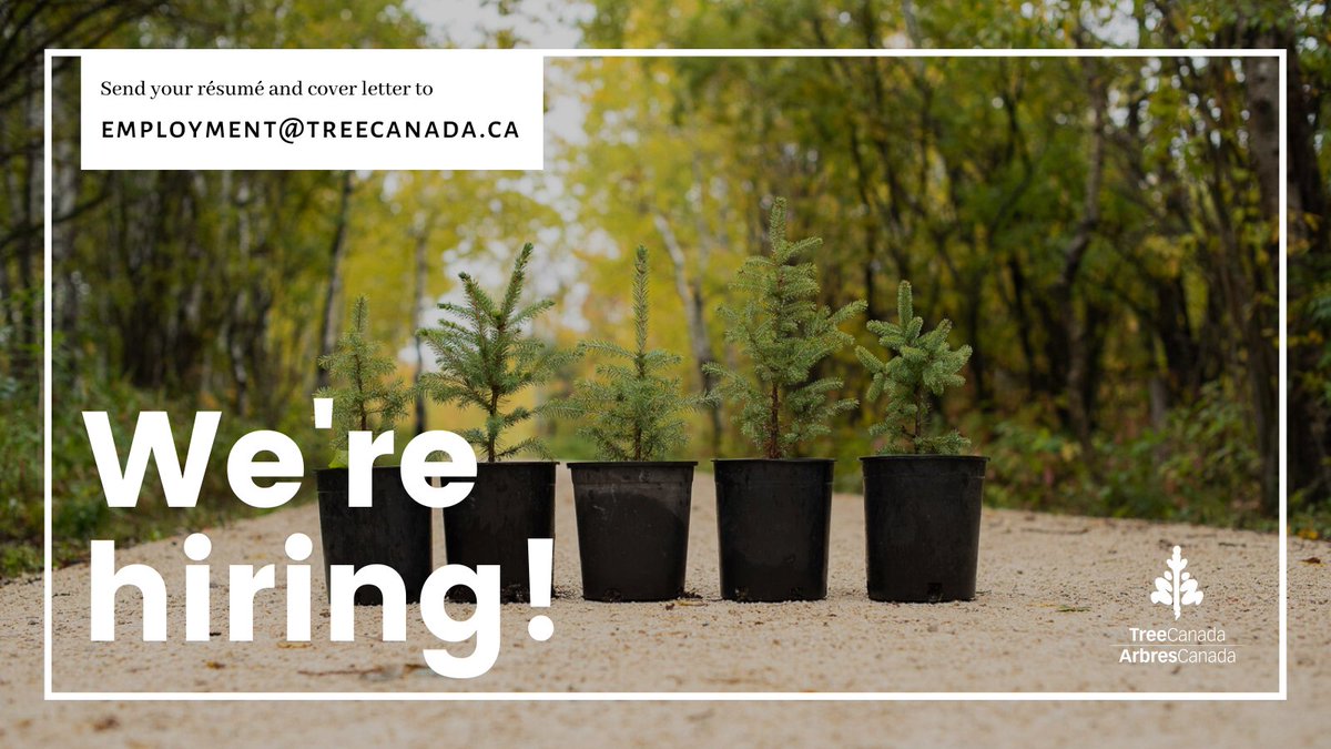 TreeCanada's tweet photo. Tree Canada is #hiring a Program Manager to support the rural and urban parts of our operational programs including: #CommunityTreeGrants, #PartnersInPlanting and #OperationReLeaf.
Know anyone who might be interested?
β‘οΈ https://t.co/ZiAnt2sQaW https://t.co/RTxLqEUqwA
