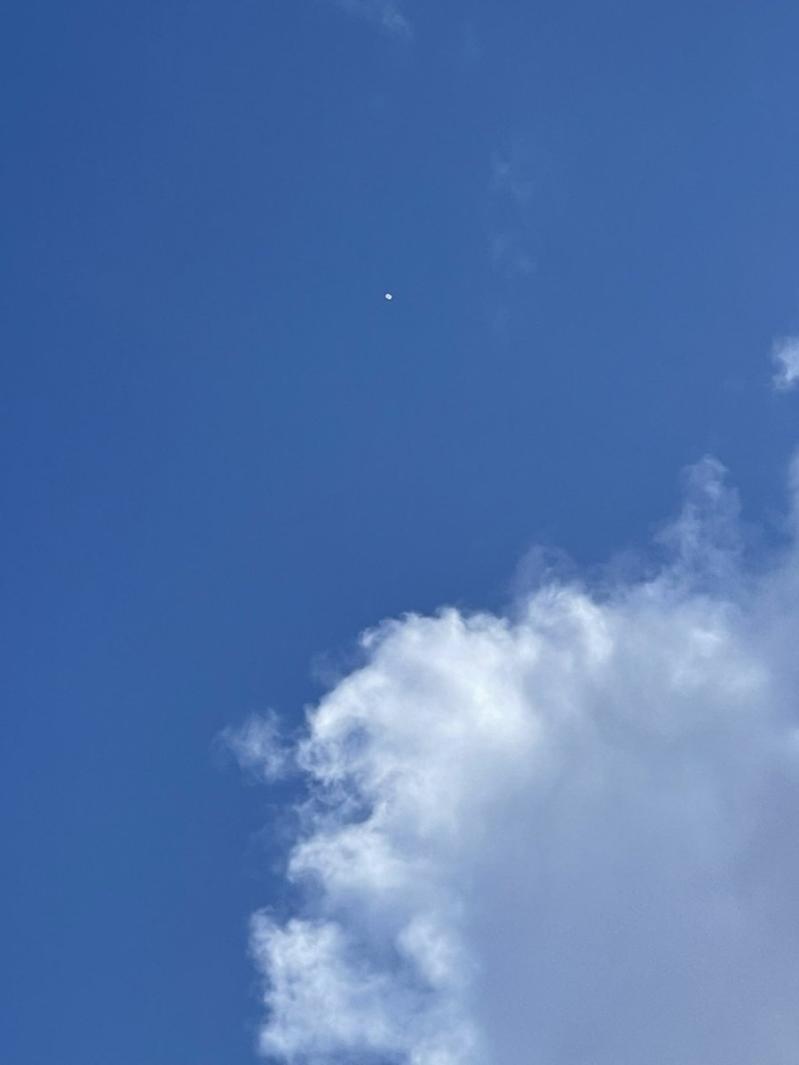 russelcheng's tweet photo. Airline pilot friend said look at the weather ballon up 60,000 feet. He had a pilot’s app of some sort. https://t.co/NotkVunc6X