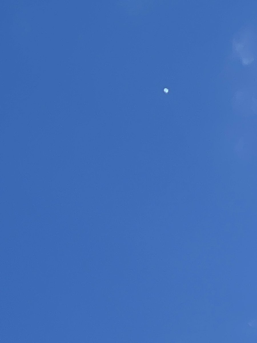 russelcheng's tweet photo. Airline pilot friend said look at the weather ballon up 60,000 feet. He had a pilot’s app of some sort. https://t.co/NotkVunc6X