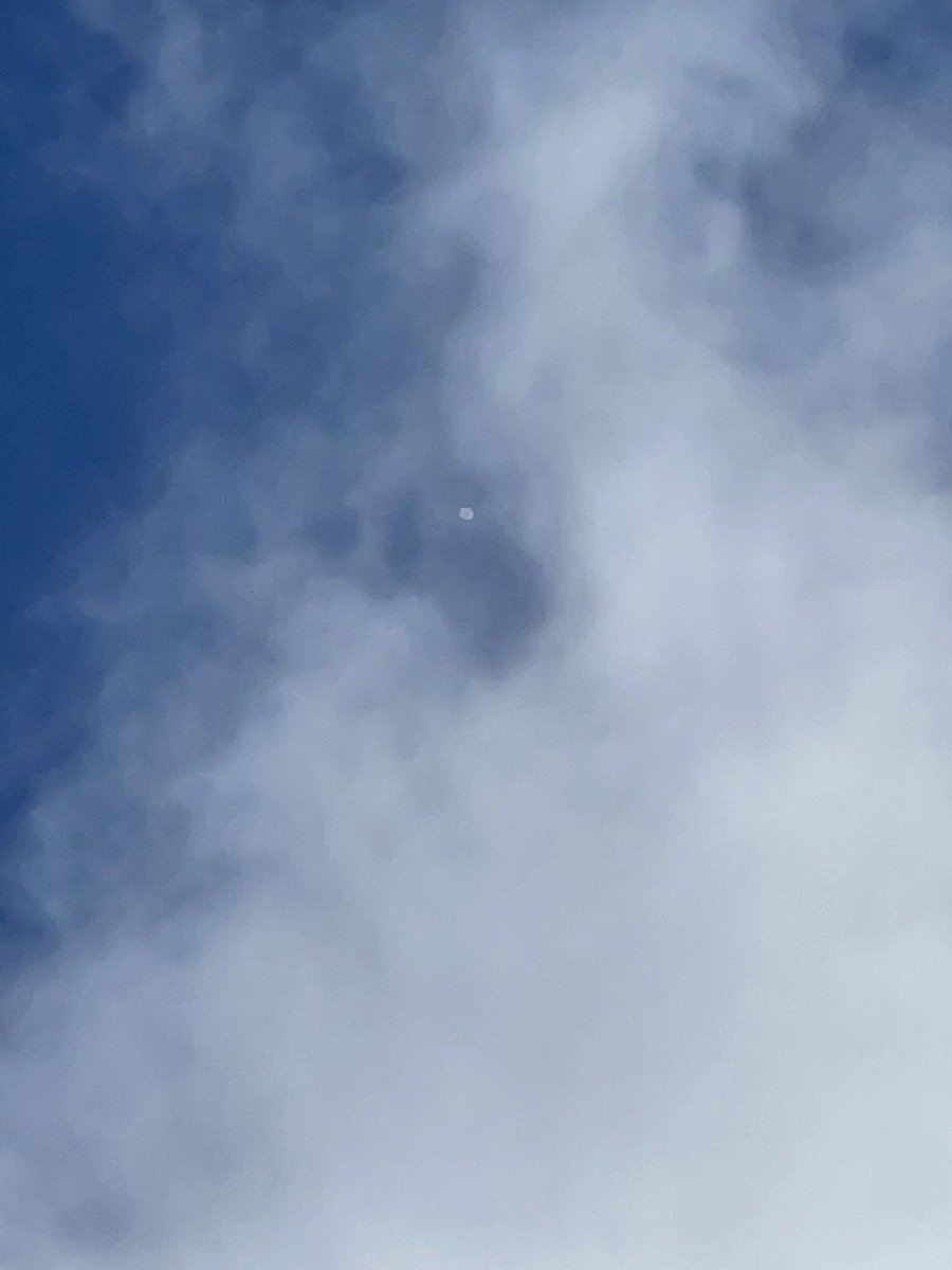 russelcheng's tweet photo. Airline pilot friend said look at the weather ballon up 60,000 feet. He had a pilot’s app of some sort. https://t.co/NotkVunc6X