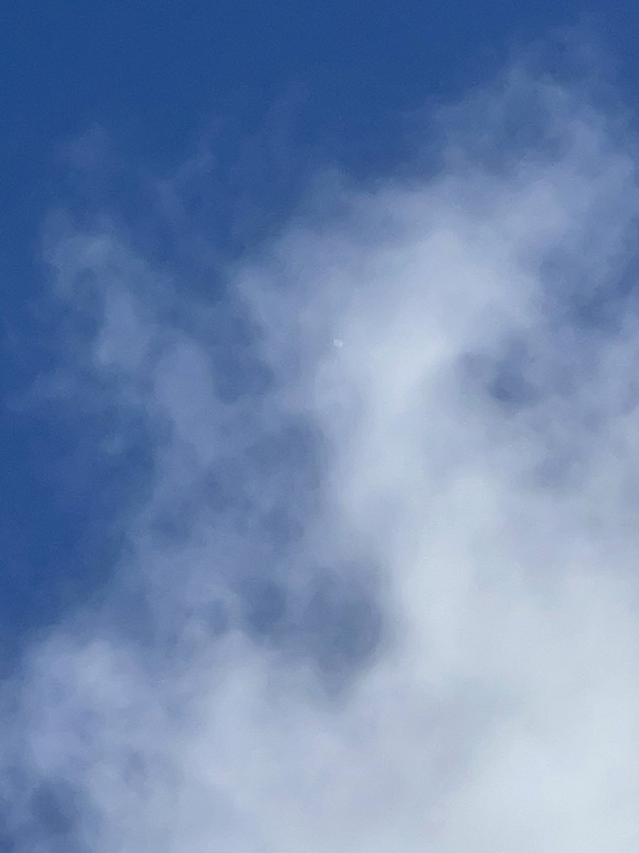 russelcheng's tweet photo. Airline pilot friend said look at the weather ballon up 60,000 feet. He had a pilot’s app of some sort. https://t.co/NotkVunc6X