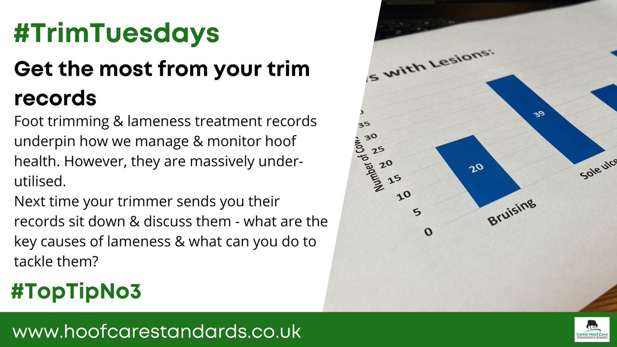 The_CHCSB's tweet photo. Our automatic post scheduling system failed us so yesterday's #TrimTuesday #TopTip is a bit late but still important!
For those in the Cheshire area you can also find out more about how you can use your data at a meeting next Wednesday 16th w @GOikonomou & @Owen_the_vet 1/2 https://t.co/klLqOpg0TD