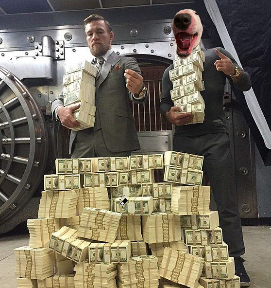leevenso's tweet photo. @TheNotoriousMMA @Schwarzenegger What's up Champ
#thenotorius
#WalterInu https://t.co/kI4TT0fdTa