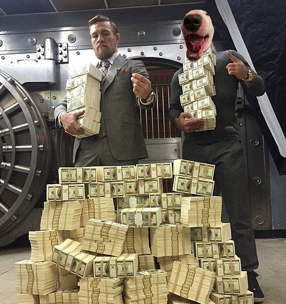 leevenso's tweet photo. @TheNotoriousMMA @Schwarzenegger What's up CHAMP
#Thenotorius
#WalterInu https://t.co/Qv1tujm2qY