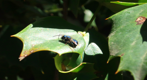 Integrative Biology tweet media