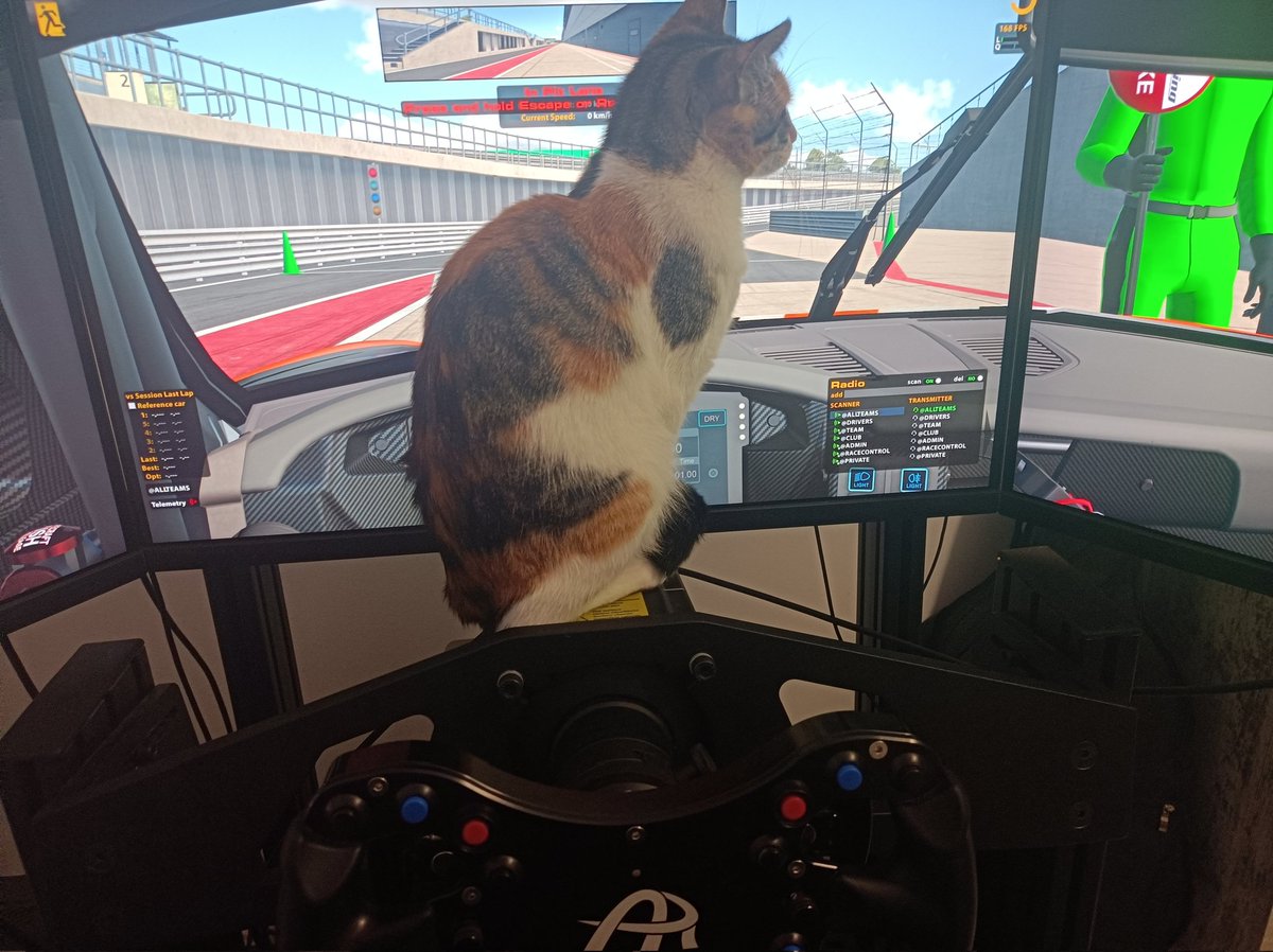 Diogo Pinto tweet media