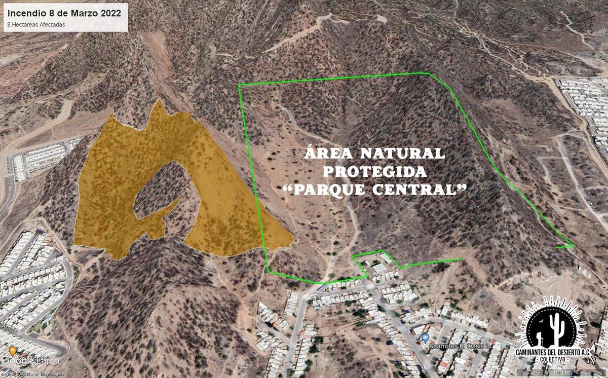 CDDesierto's tweet photo. En el #CerroJohnson está demostrada la utilidad del #CinturonVerde como brecha cortafuego al limitar el daño ocasionado por los incendios de buffel.
Únete este Sábado a las 4PM para construir un nuevo cortafuego. #SácateBuffel https://t.co/OlSMhIt6dT