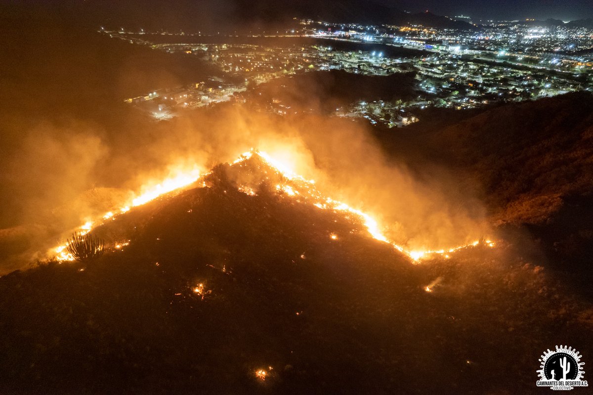 CDDesierto's tweet photo. En el #CerroJohnson está demostrada la utilidad del #CinturonVerde como brecha cortafuego al limitar el daño ocasionado por los incendios de buffel.
Únete este Sábado a las 4PM para construir un nuevo cortafuego. #SácateBuffel https://t.co/OlSMhIt6dT