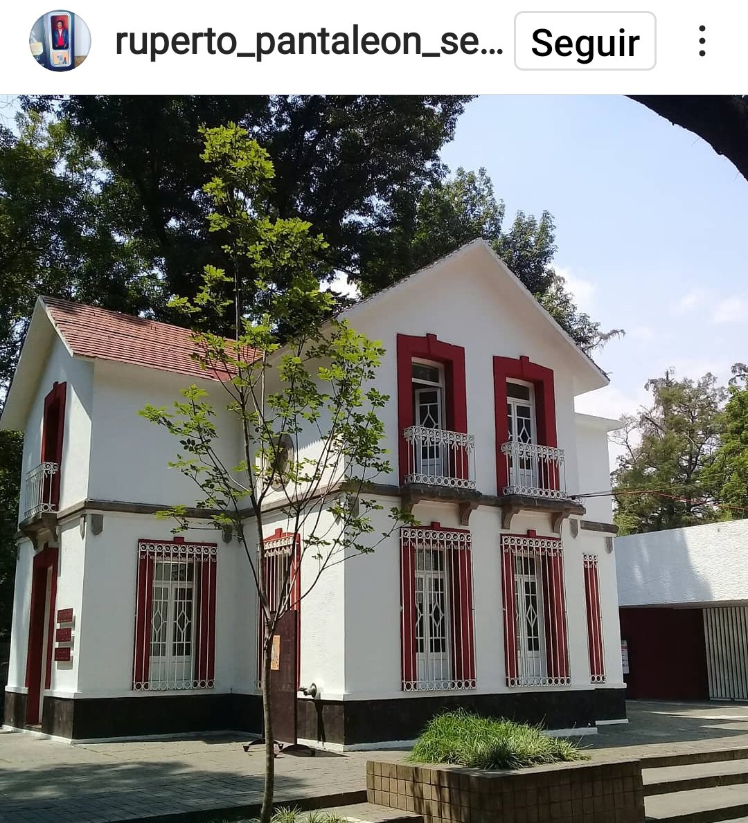 Turismo en CDMX tweet media