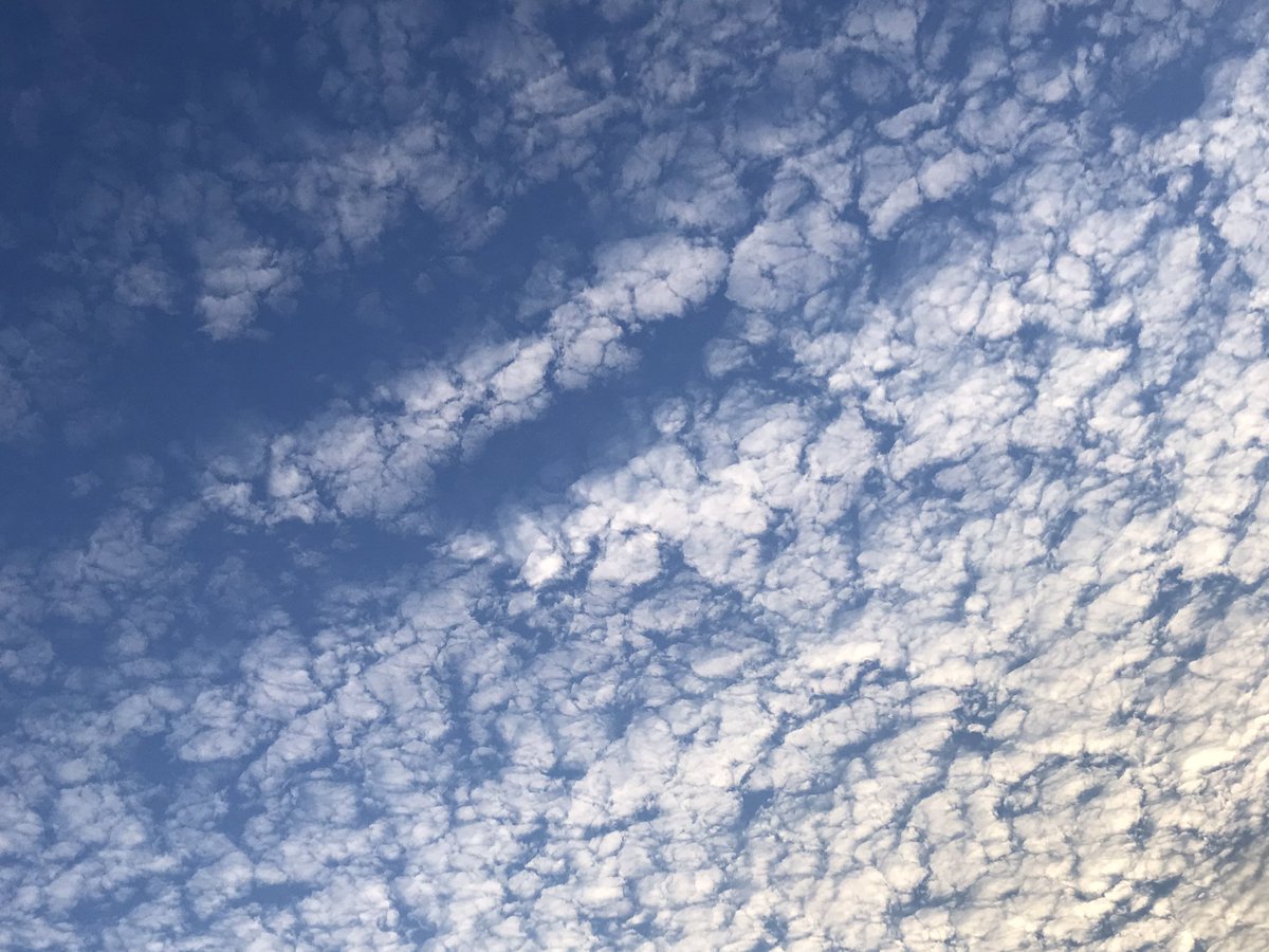 ovphotonft's tweet photo. Gm  sky https://t.co/mF7aBwEHBO