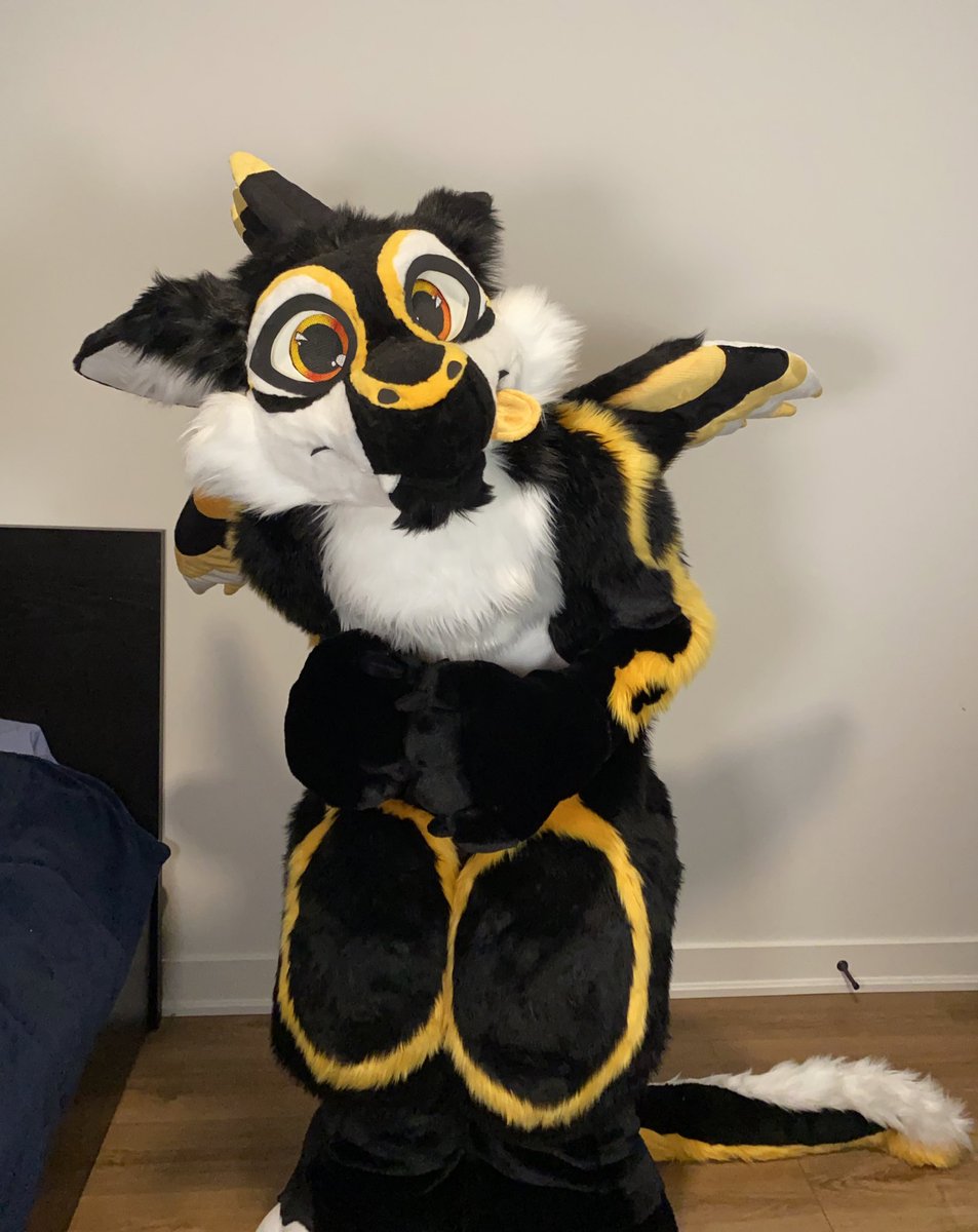 Birds 🇨🇦 tweet media