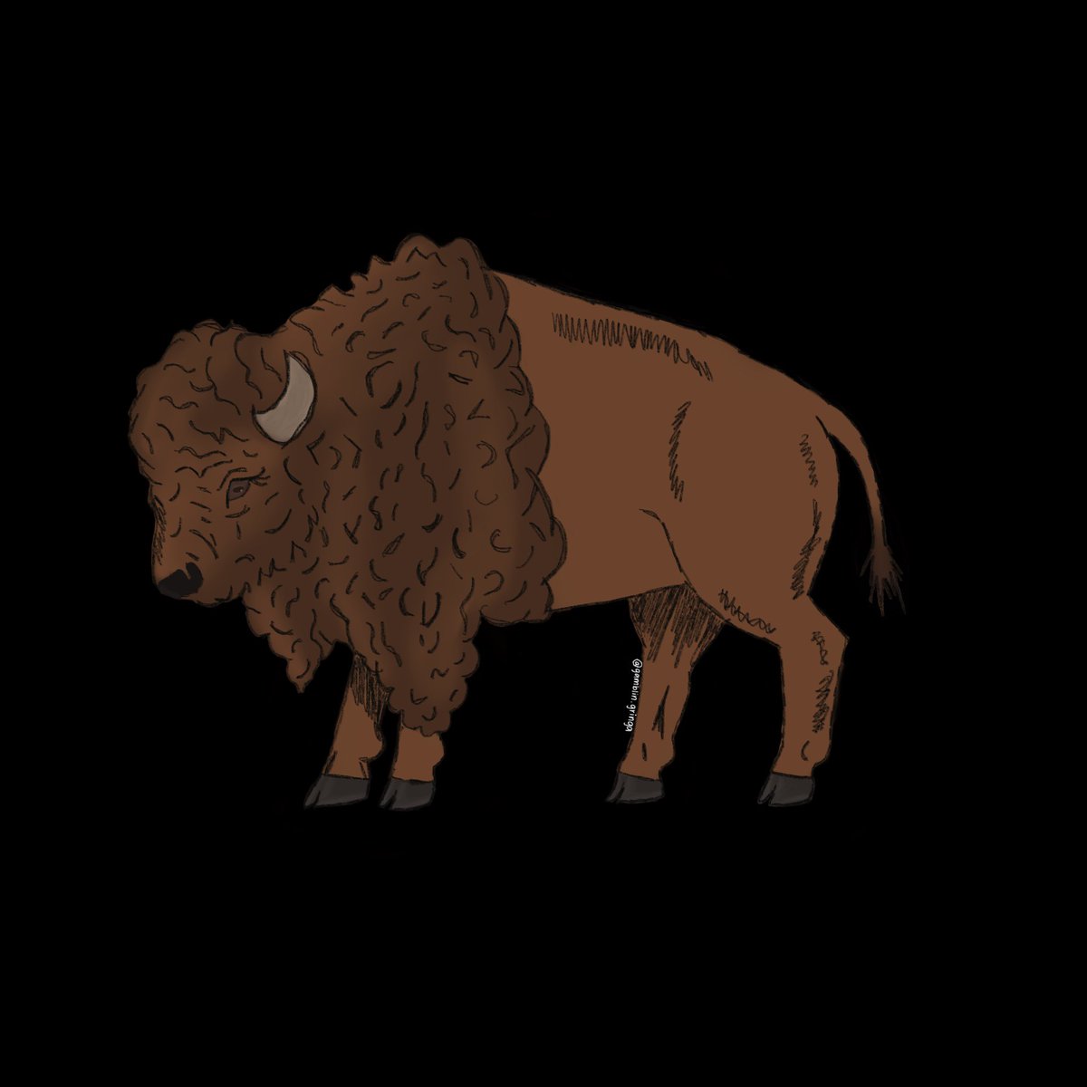 gamblingringa's tweet photo. just a buffalo sketch to spice up your feed(; https://t.co/oHijE1cZo8
