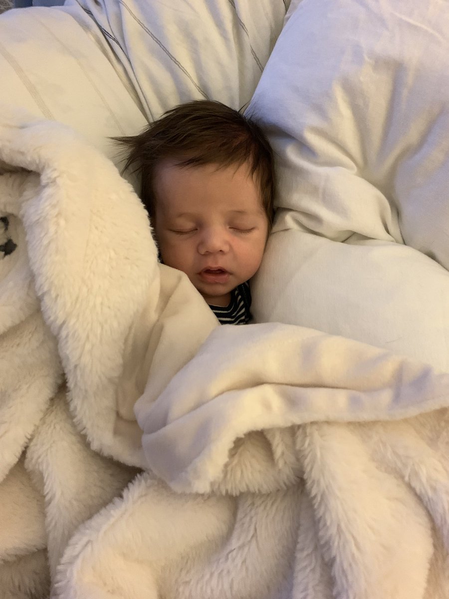 Brillebrand's tweet photo. So, my baby is an actual angel. https://t.co/YZjckNJwtI