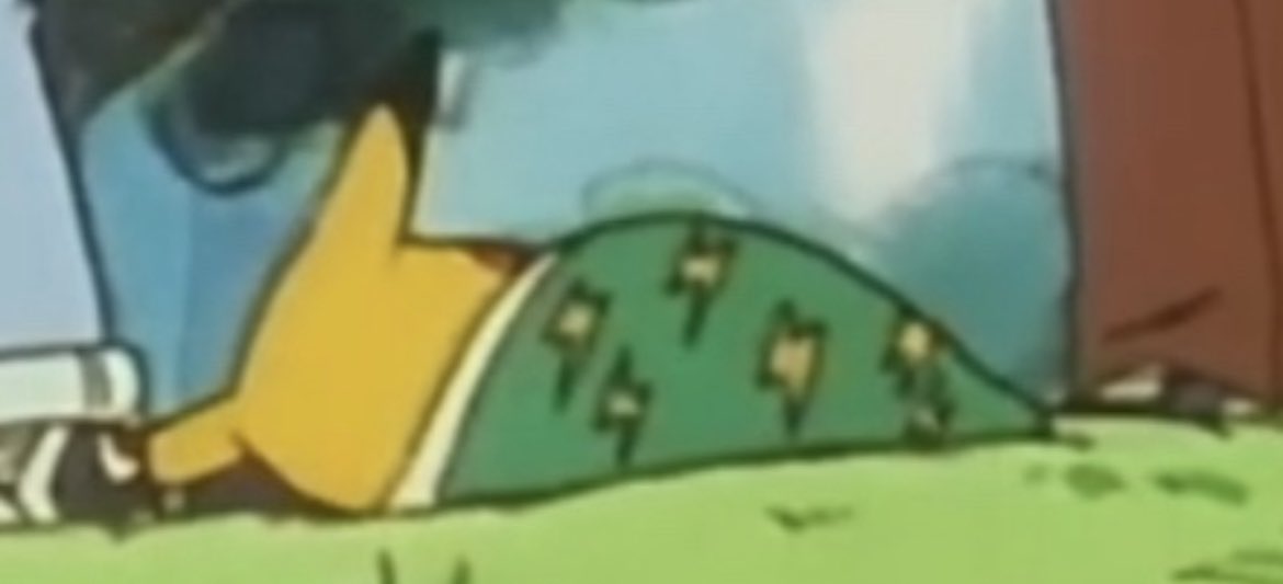 pikachu stole my credit card and called me a bitch tweet media