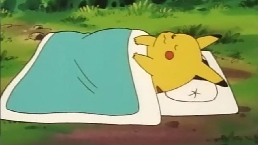pikachu stole my credit card and called me a bitch tweet media