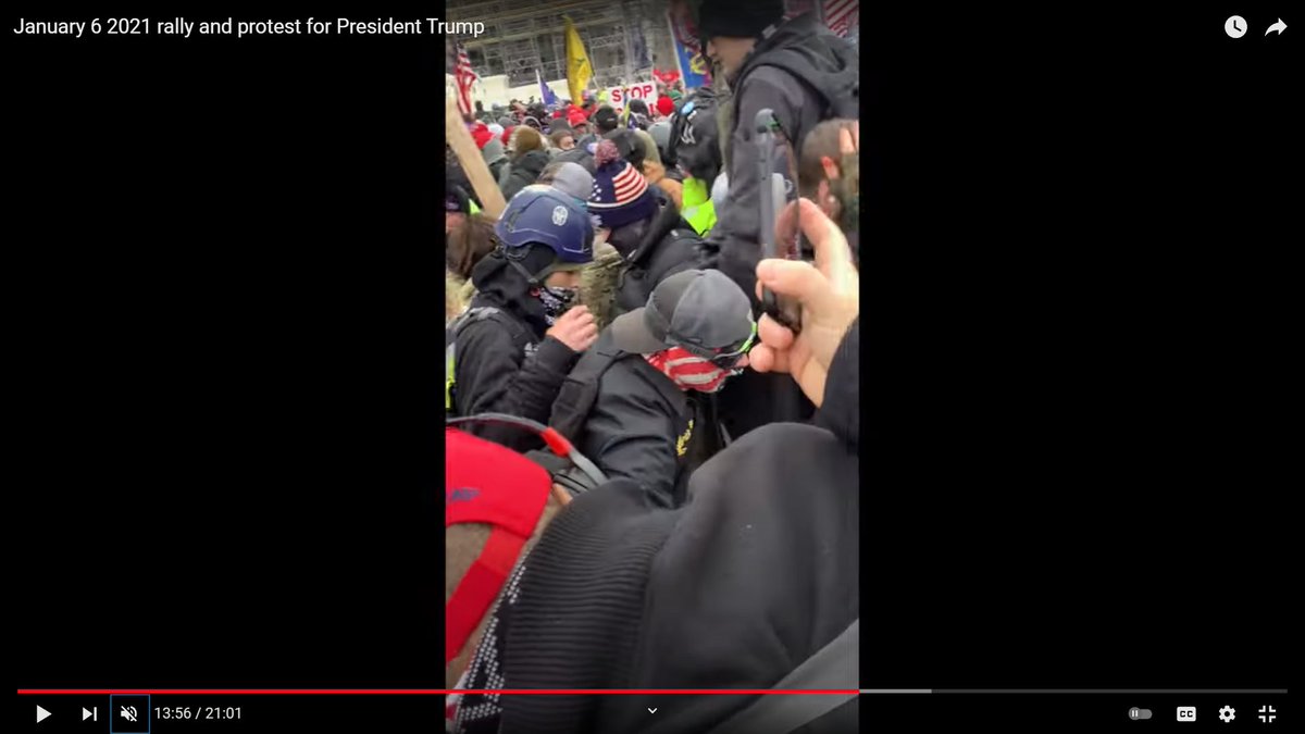 DianthaSol's tweet photo. @erica1933 @phoenixonwheels @JusticeCat0106 @BusAntifa @ne0ndistraction @MaranieRae @creek_twit A couple more stills of #PDXPB, the guy #getpumpedpb injured accidentally, and the person with blue helmet comes with them - do they have a tag?
https://t.co/3g8BIosyvc https://t.co/hYB3imx0gs